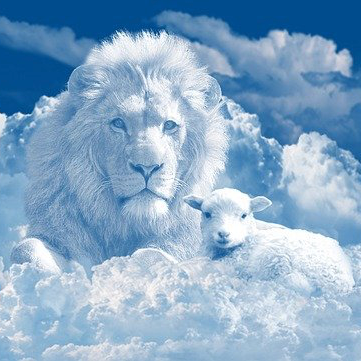 Animal Spirit Guidance